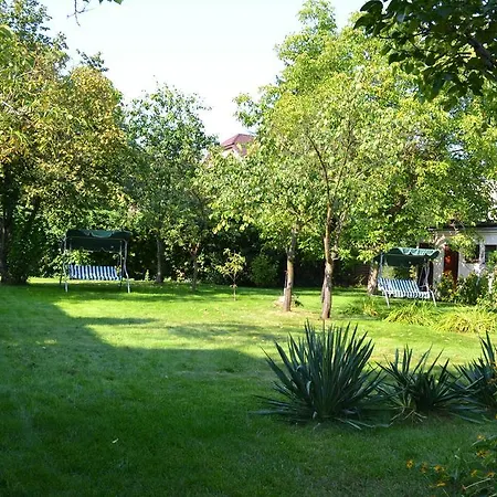 Apartment Apartament Goscinny Dom